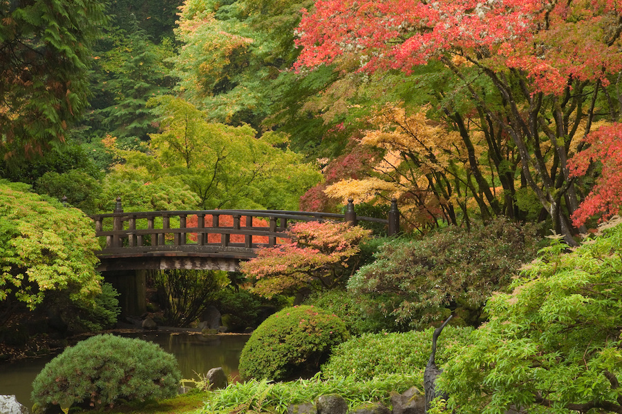 Bridge at Japanese Garden in Portland, OR